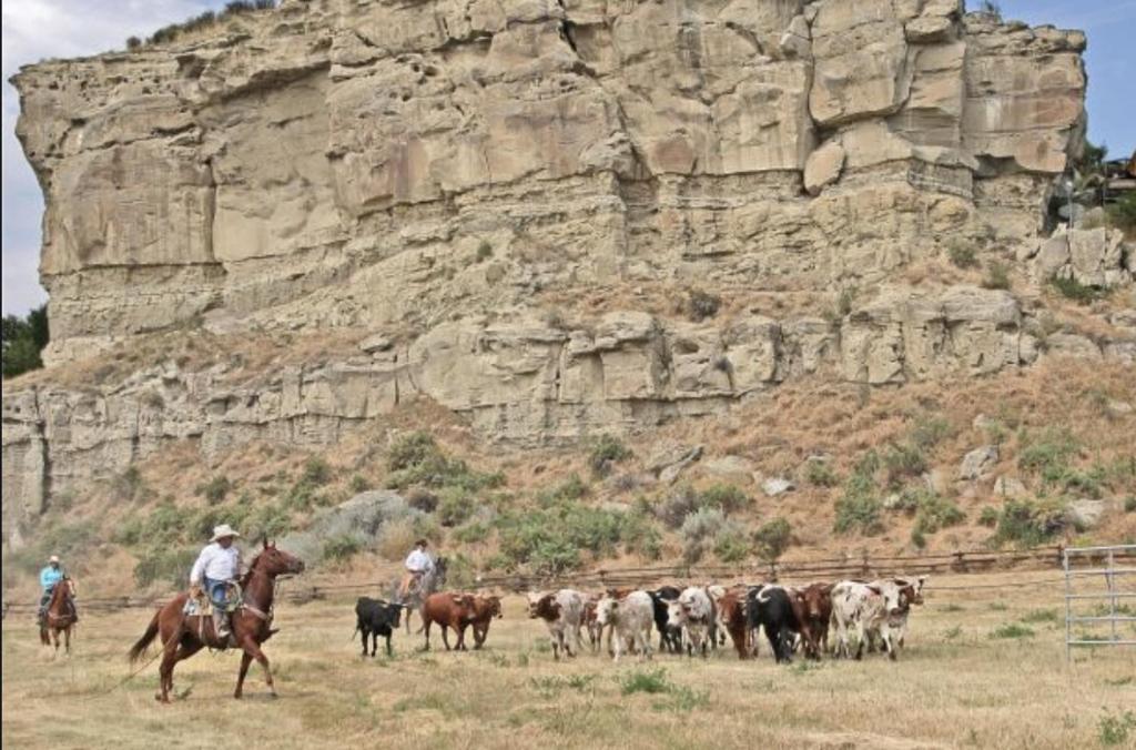 Montana Inn Near Little Big Horn Battlefield-Pompey Piller-Colstrip Forsyth Екстер'єр фото